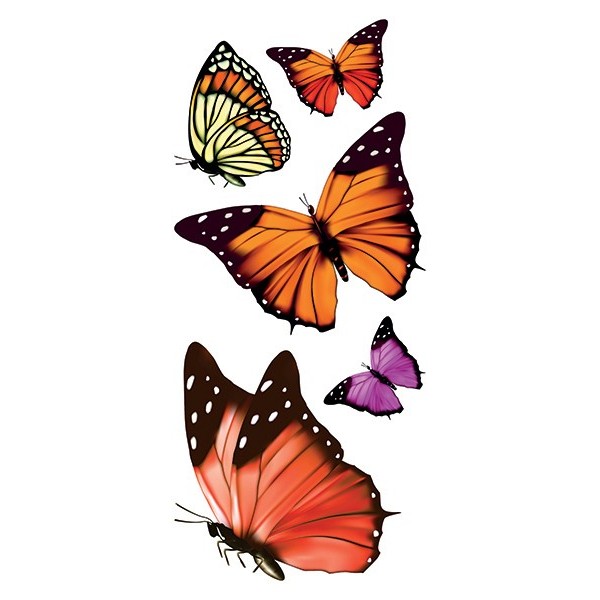 grafica prodotto vetrofanie farfalle