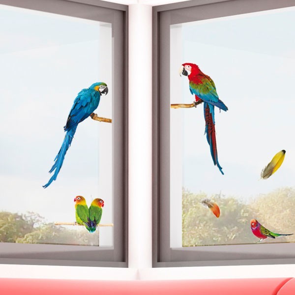 ambientazione vetrofanie pappagalli