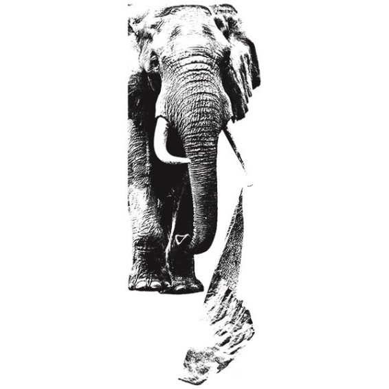 grafica prodotto adesivo murale tram milano