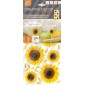 packshot decori per ceramica girasoli