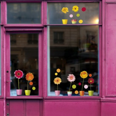 seconda ambientazione gerbere gattini