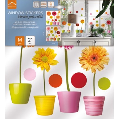 confezione prodotto vetrofanie gattini