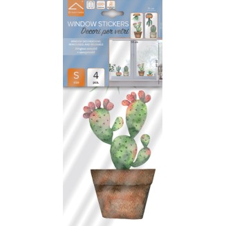 confezione prodotto vetrofanie cactus