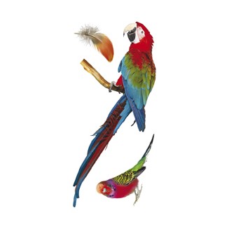 seconda grafica prodotto vetrofanie pappagalli
