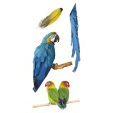 grafica prodotto vetrofanie pappagalli