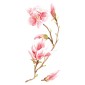 grafica prodotto adesivo murale magnolia
