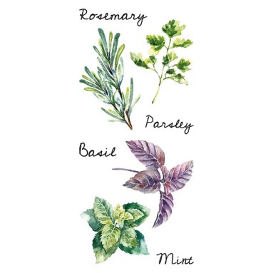 grafica prodotto adesivo murale spices