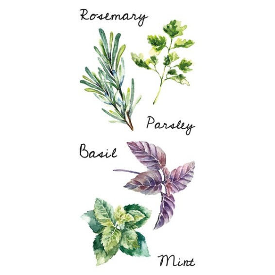 grafica prodotto adesivo murale spices