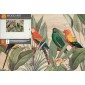 Confezione Wood Art Tropical Parrots