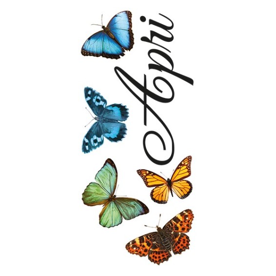 seconda grafica prodotto frase adesiva apri le ali