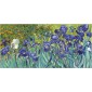 grafica prodotto testiera letto van gogh iris