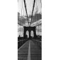 grafica prodotto rivestimento per porta brooklyn bridge