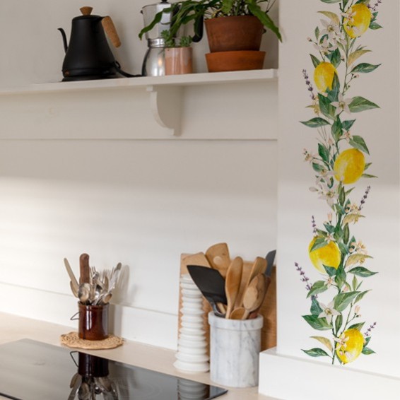 ambientazione frontale bordura lemons