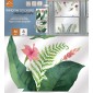 confezione vetrofania tropical flowers