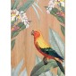 grafica wood art multicolour parrots 30x42 cm