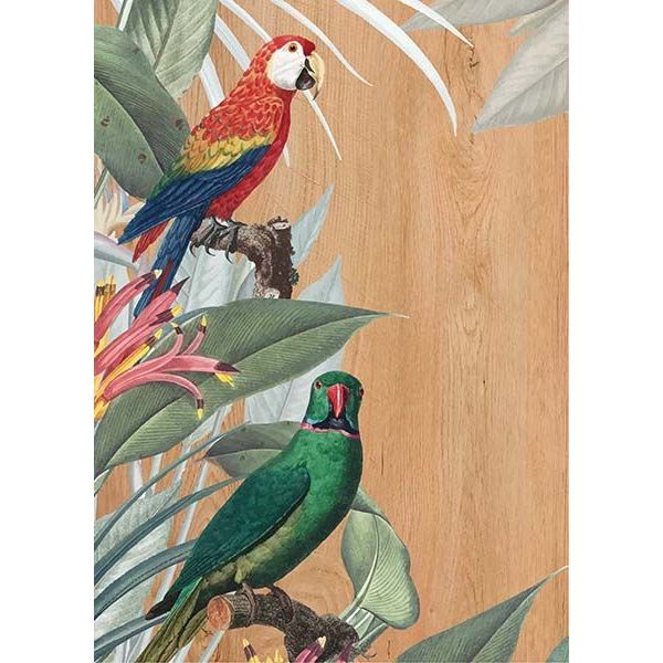 grafica wood art red & green parrots 30x42 cm