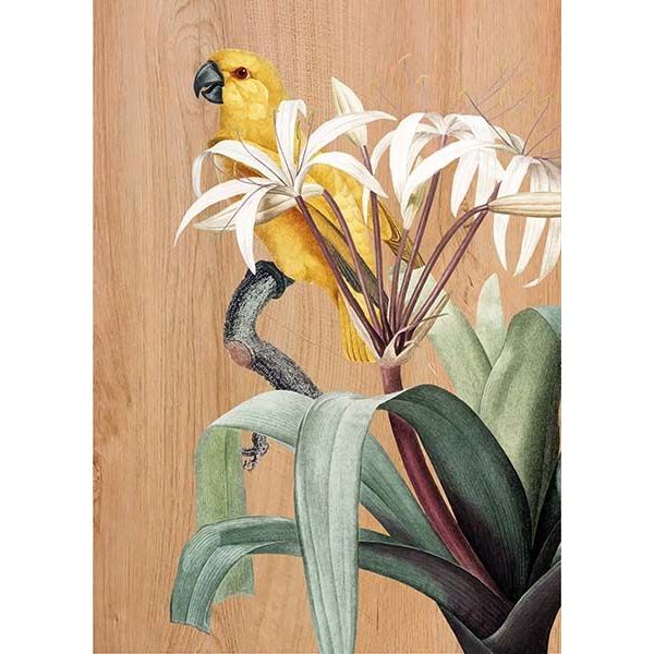 grafica wood art yellow parrots 30x42 cm