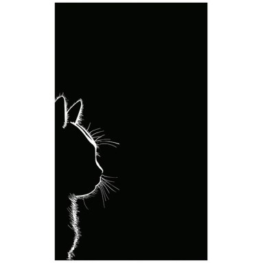 Grafica Lavagna in Plexiglass Silhouette Cat 30x50 cm