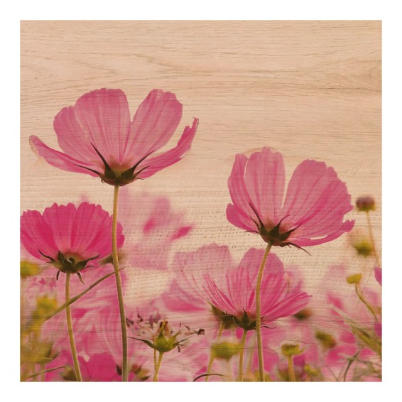 Grafica Wood Art Pink Flower