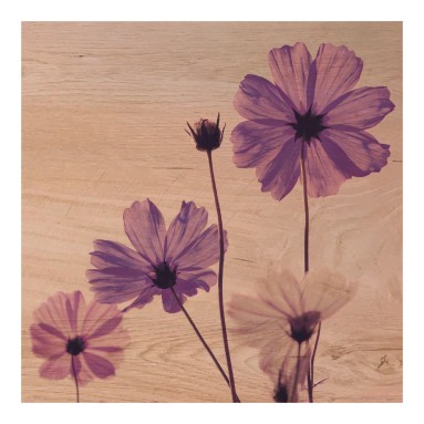 Grafica Wood Art Violet Flower
