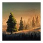 Grafica Wood Art Foggy Pine Trees
