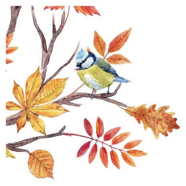 Adesivo Murale - Autumn Branch