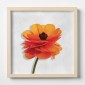 Quadro Plexiglas con cornice MDF - 3DArt - Orange Buttercup