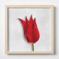 Quadro Plexiglas con cornice MDF - 3DArt - Red Tulips