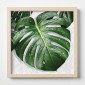 Quadro Plexiglas con cornice MDF - 3DArt - Monstera Leaves