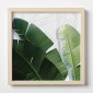 Quadro Plexiglas con cornice MDF - 3DArt - Banano Leaves