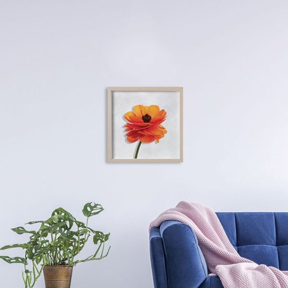  Effetti trasparenti moderni - 3DArt - Orange Buttercup