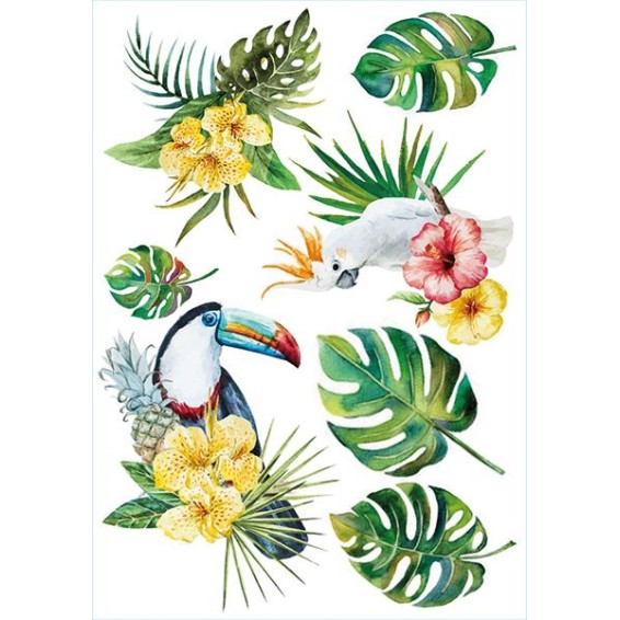  Decorazione adesiva per pareti - Adesivo Murale - Tropical Birds