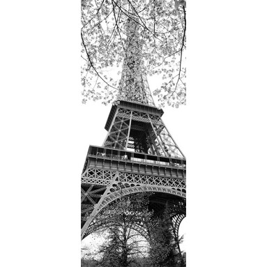 Adesivo porte interne Rivestimento per porta - Paris Flower