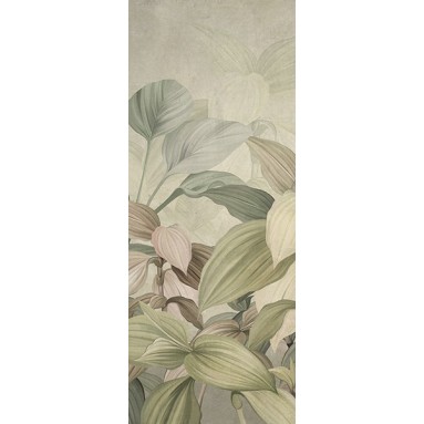 grafica prodotto rivestimento per porta equatorial rain forest