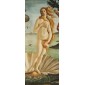 grafica prodotto rivestimento per porta la venere botticelli