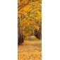 grafica prodotto rivestimento per porta autumn trees