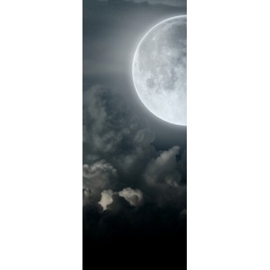 grafica prodotto rivestimento per porta luna