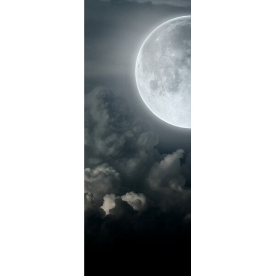 grafica prodotto rivestimento per porta luna