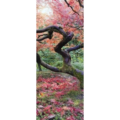 grafica prodotto rivestimento per porta acero