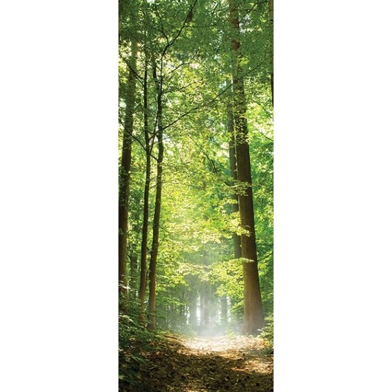 grafica prodotto rivestimento per porta bosco