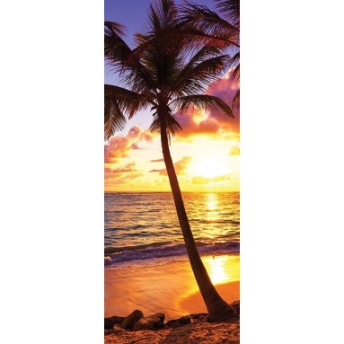 grafica prodotto rivestimento per porta palma