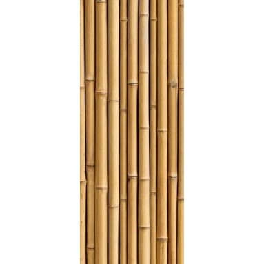 grafica prodotto rivestimento per porta bamboo