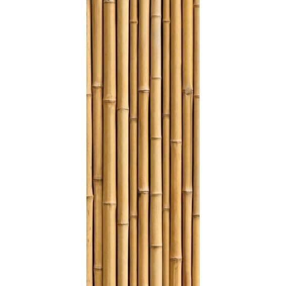 grafica prodotto rivestimento per porta bamboo