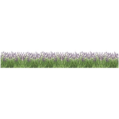 grafica prodotto bordura lavanda
