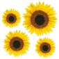 grafica prodotto adesivo murale girasoli