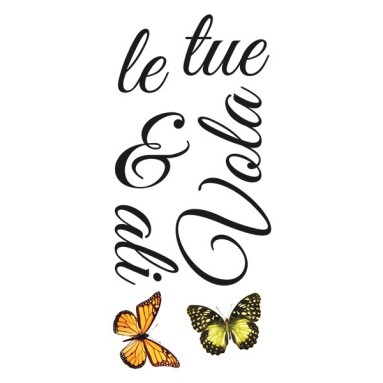 grafica prodotto frase adesiva apri le ali