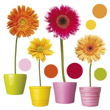 grafica prodotto vetrofanie gerbere