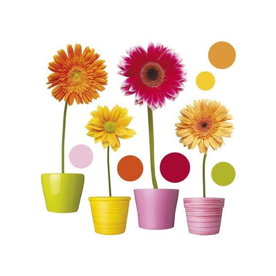 grafica prodotto vetrofanie gerbere