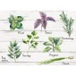 grafica prodotto kitchen panel shabby spices