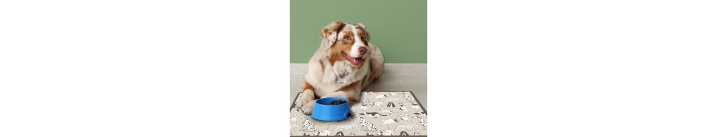 Sottociotola Assorbente per Cani e Gatti | Lavabile e Antiscivolo | Dekoidea